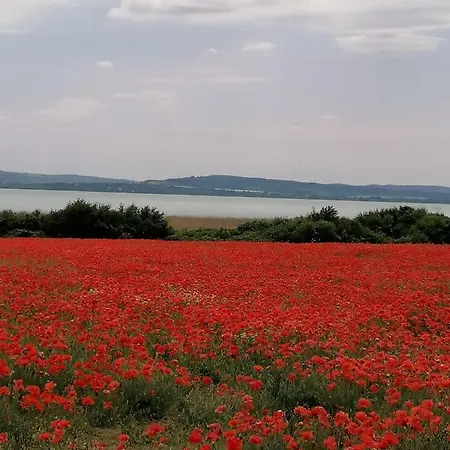 Aszofoi Panorama Apartmanhaz Apartment Aszofo
