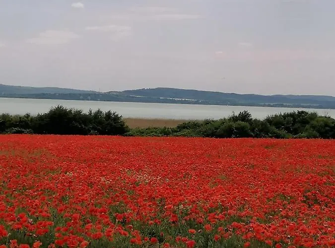 Aszofoi Panorama Apartmanhaz דירה Aszofo